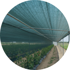 agri products