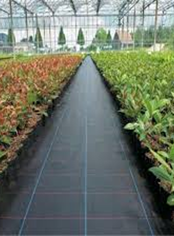 Weed mat pro1