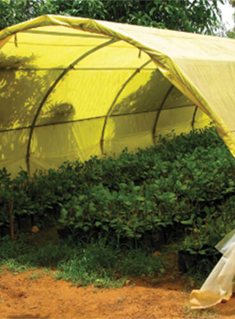 low tunnel sheets silpaulin